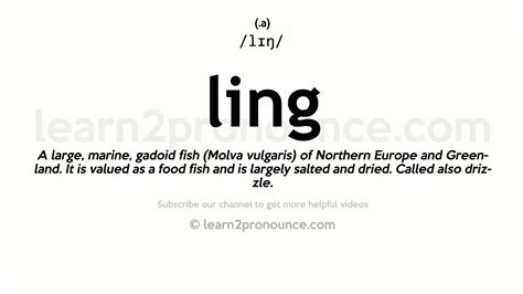 ling & sons|ling meaning slang.